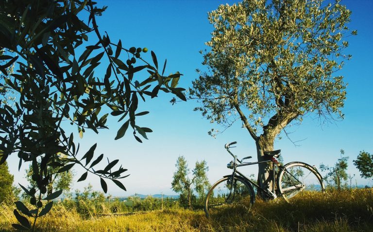 Bike in Chianti Tuscany