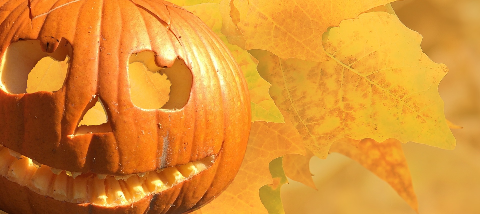 You are currently viewing Halloween: History, Traditions and Modern-Day Celebrations