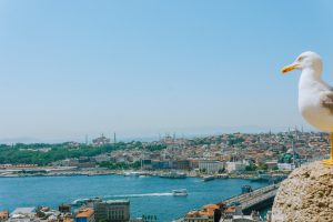 13 Must Visit places in Istanbul, A City at the Crossroads in All Dimensions