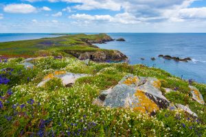 Ireland Travel Tips Etiquette and Culture: Top 5 Advices