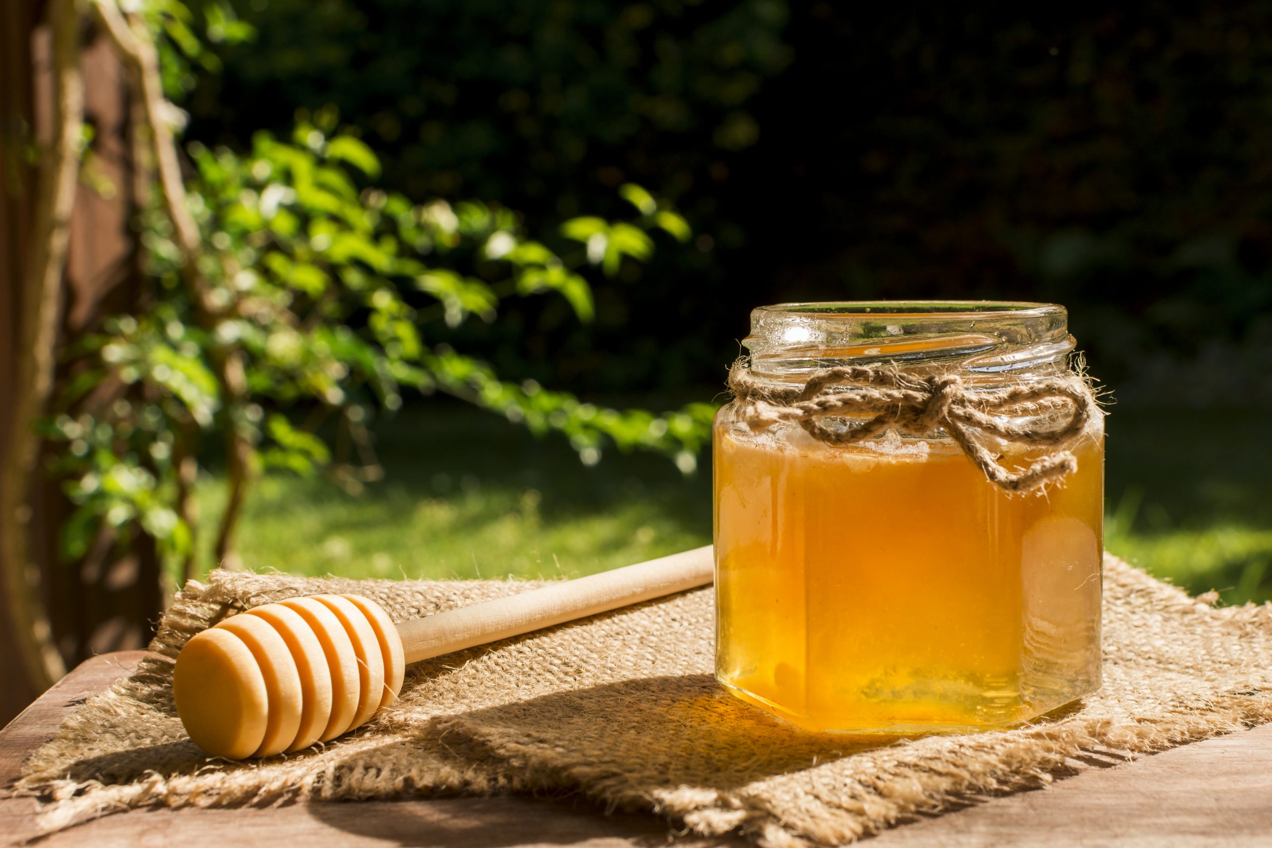 You are currently viewing Manuka Honey Benefits, The Natural Immunity and Sustainability Booster and Its Controversies
