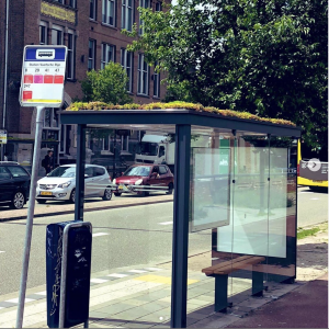 Netherlands Bus Stops Turning into Honey Bees Hives or “Bees Stops”