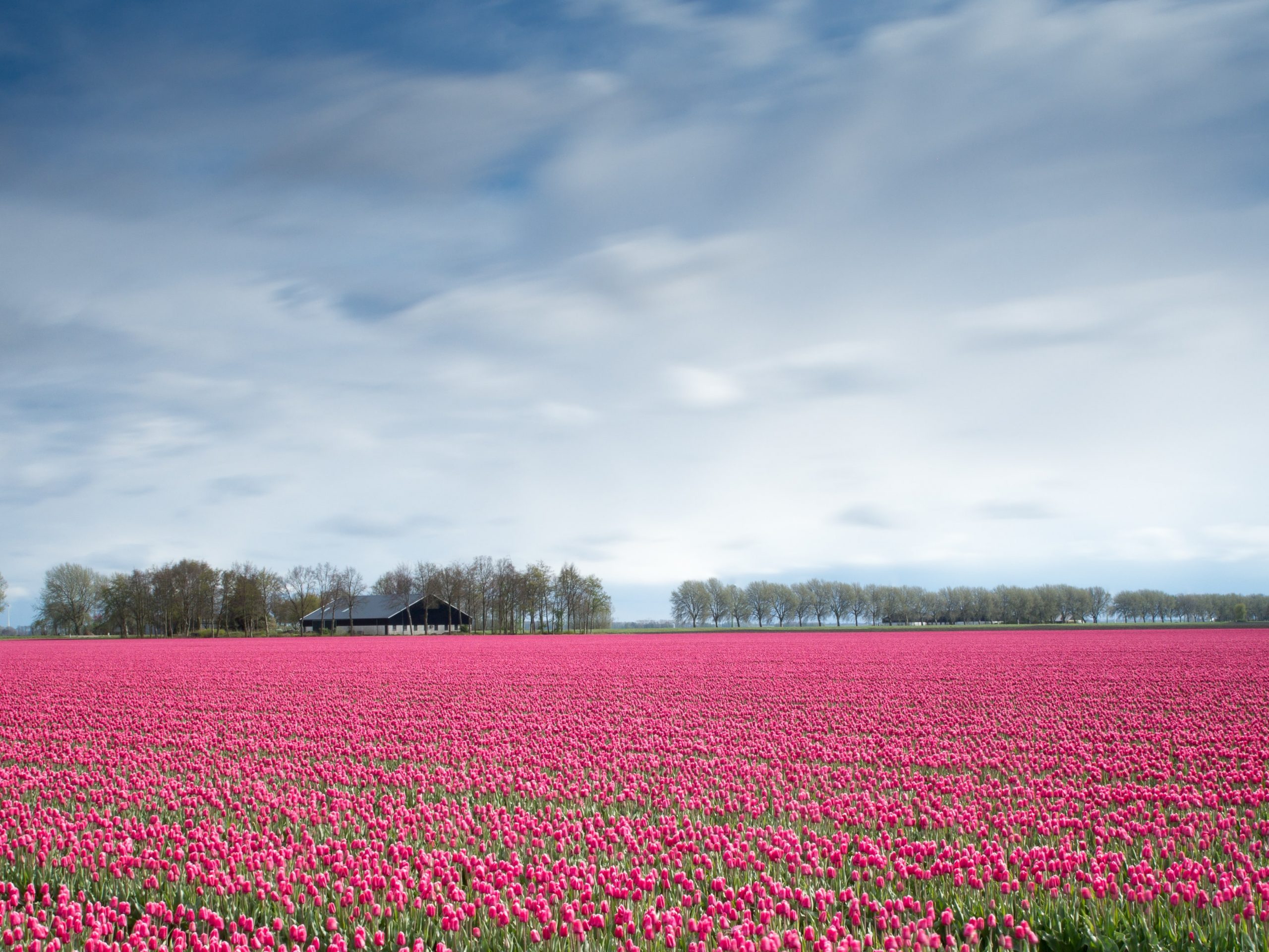 You are currently viewing 7 Interesting Facts About the Netherlands