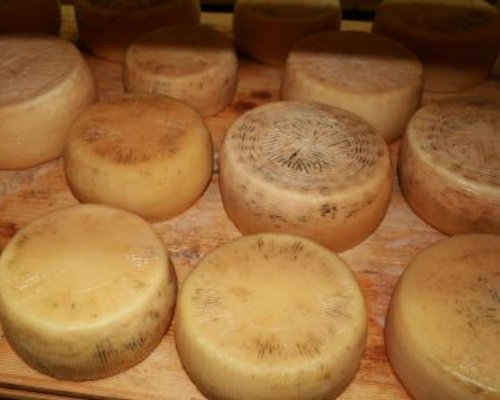 Pecorino Cheese Wheels Via Flickr