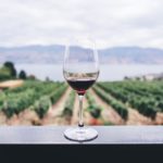 Your Complete Guide to WSET Level 2 Course Days and Exam