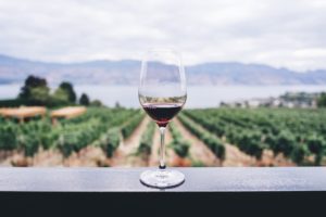 Your Complete Guide to WSET Level 2 Course Days and Exam