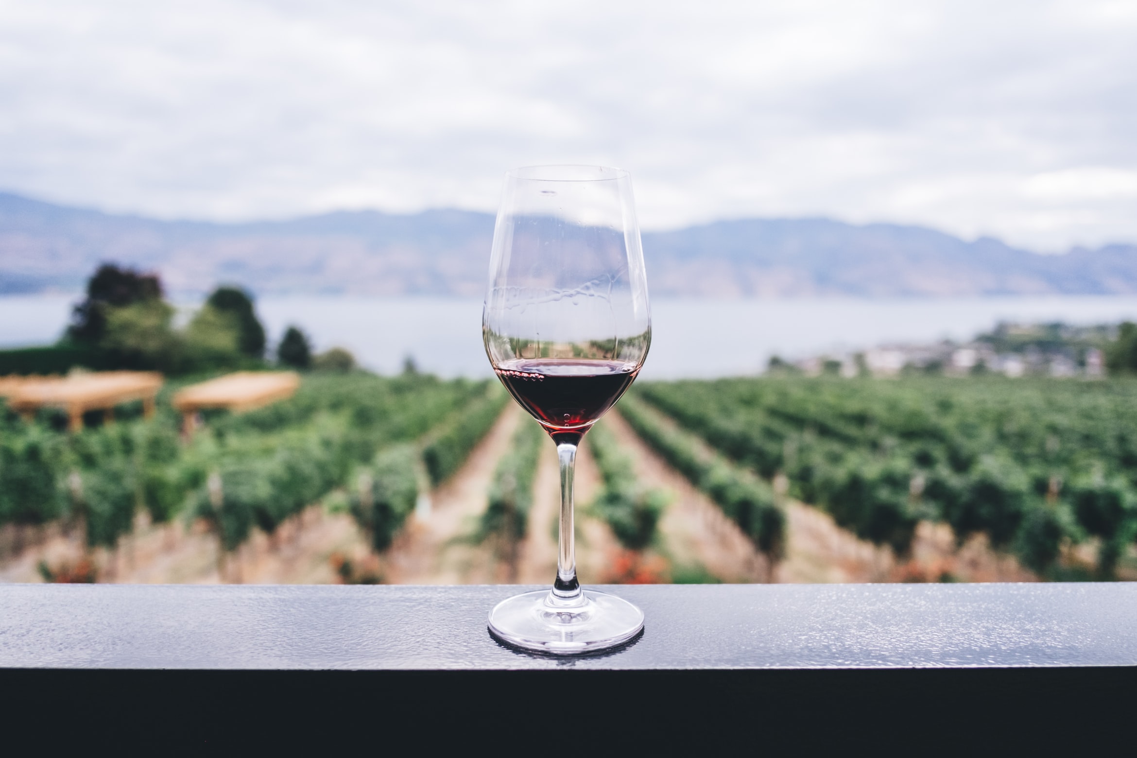 Read more about the article Your Complete Guide to WSET Level 2 Course Days and Exam