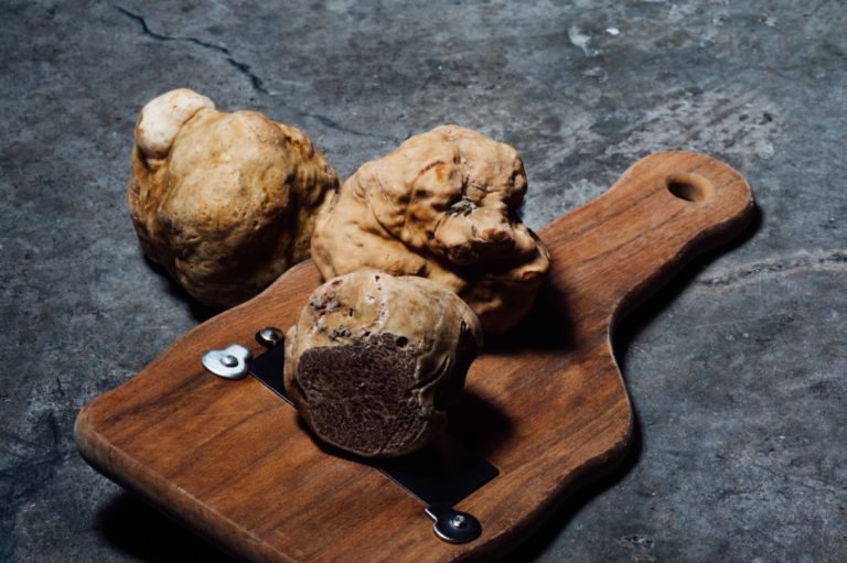 Truffle Food pairing with Barolo wine via unsplash