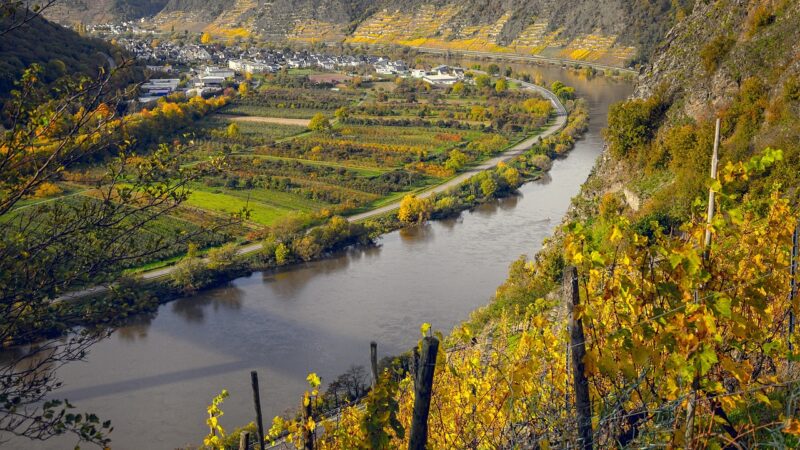 Mosel, Germany Vineyards