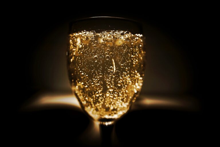 A Glass of Sparkling Wine
