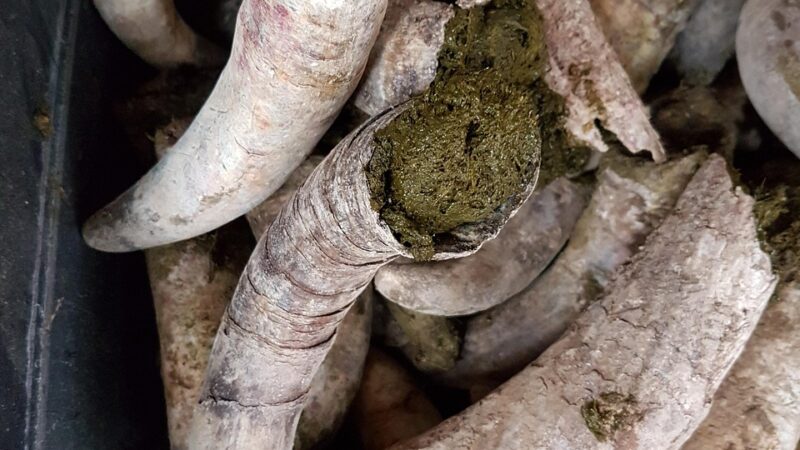 Biodynamic Manure for Vineyards