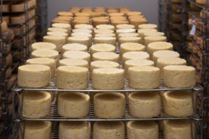Jasper Hill Farm: A Model for Sustainable Cheesemaking in Vermont