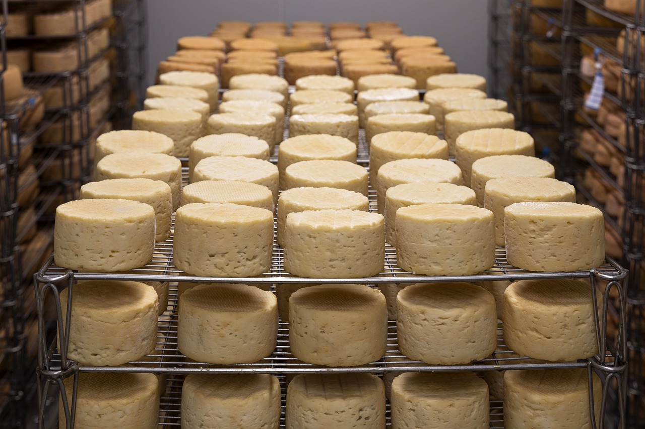 Read more about the article Jasper Hill Farm: A Model for Sustainable Cheesemaking in Vermont