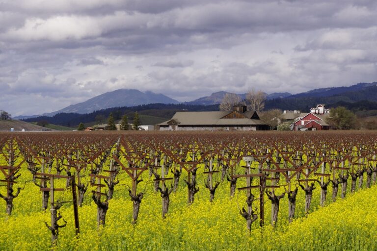 Napa Valley Wineries