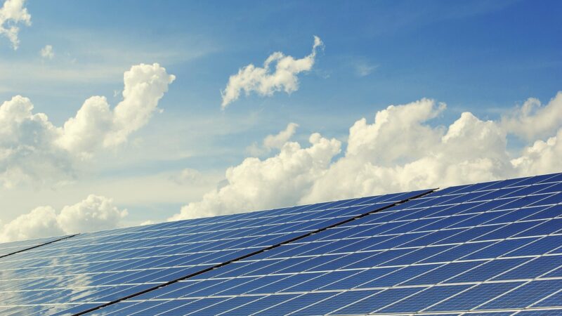 Solar Panels for Sustainable Energy Generation