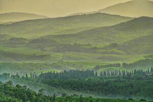 Sustainable Wineries in Tuscany: Eco-Friendly Wine with Italian Soul