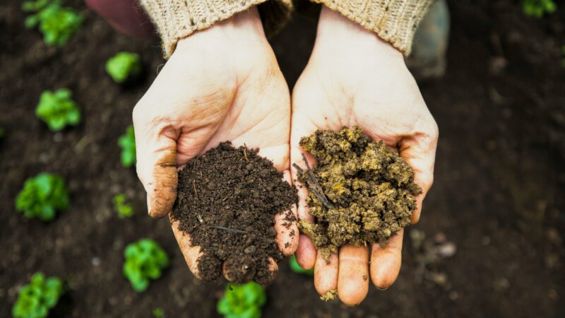 Sustainable Soil Health