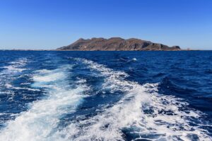 Exploring Organic Wineries in Sicily: Tradition Meets Sustainability